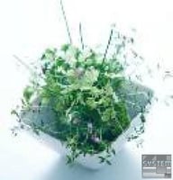 Тарелка Arcoroc 01-R0902, фото №4, интернет-магазин пищевого оборудования Систем4