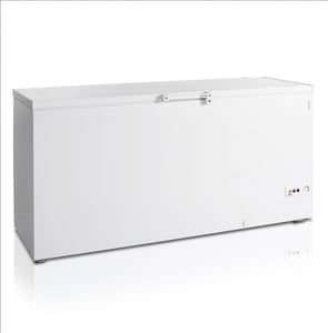 Морозильна скриня Tefcold FR605S SL, фото №1, інтернет-магазин харчового обладнання Систем4