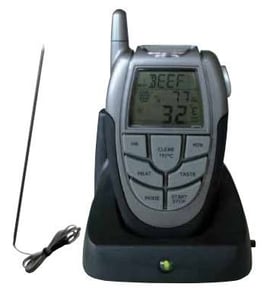 Термометр з дистанційним керуванням GGG YSW-020A, фото №1, інтернет-магазин харчового обладнання Систем4