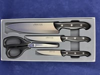 Набір ножів Arcos з 4 ін. 152600 Серія Maitre, фото №3, інтернет-магазин харчового обладнання Систем4