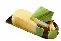 Форма LOG SAVARIN Silikomart SF160