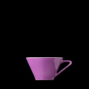 Чашка G.Benedikt DSY0610-X8201 серия Daisy Violett, фото №1, интернет-магазин пищевого оборудования Систем4