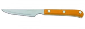Нож стейковый Arcos 374825 серии 2900, 115 мм, фото №1, интернет-магазин пищевого оборудования Систем4