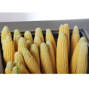 Прилавок передвижной для кукурузы КИЙ-В ППК-К, фото №1, интернет-магазин пищевого оборудования Систем4