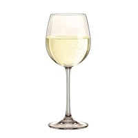 Келих White wine 92037 Nachtmann серія Vivendi, фото №1, інтернет-магазин харчового обладнання Систем4