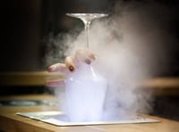 Охладитель бокалов Thrill Vortex F1 SBI, фото №5, интернет-магазин пищевого оборудования Систем4