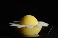 Силіконова форма для десертів Daisy 60 мл Silikomart, фото №5, інтернет-магазин харчового обладнання Систем4