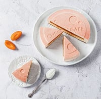 Силіконовий килимок Чизкейк Silikomart CHEESECAKE DECOR, фото №8, інтернет-магазин харчового обладнання Систем4