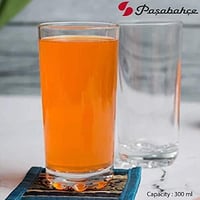 Склянка для напоїв 300 мл Pasabahce KARAMAN 52449, фото №1, інтернет-магазин харчового обладнання Систем4