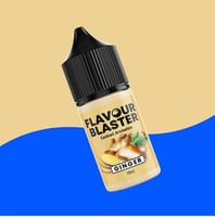 Ароматизатор для коктейлів Копчений дуб Flavour Blaster Ginger, фото №2, інтернет-магазин харчового обладнання Систем4