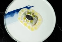 Тарілка для пасти Bonna Blue Wave BLWHYG25CK, фото №2, інтернет-магазин харчового обладнання Систем4