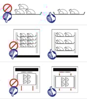 Аппарат шоковой заморозки Tecnodom P-ATT05EA, фото №6, интернет-магазин пищевого оборудования Систем4