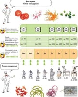 Овочерізка ROBOT-COUPE CL 30, фото №8, інтернет-магазин харчового обладнання Систем4