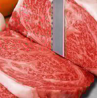 Гастрономічна пила Airhot HSL2020A (380), фото №3, інтернет-магазин харчового обладнання Систем4