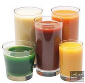 Соковитискач Rotel Juice master Professional 42.8, фото №4, інтернет-магазин харчового обладнання Систем4